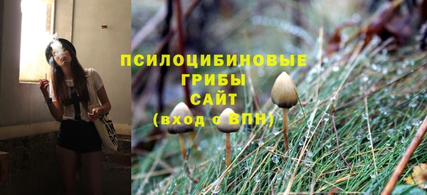 кристаллы Менделеевск