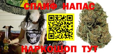 дживик Кингисепп
