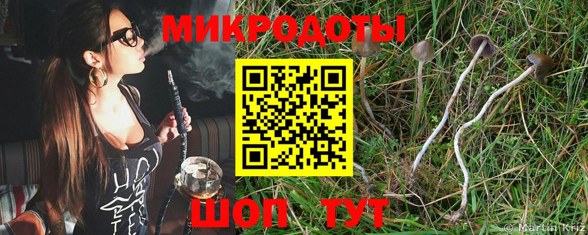 Сокол  Псилоцибиновые грибы Magic Shrooms  Вход с VPN 