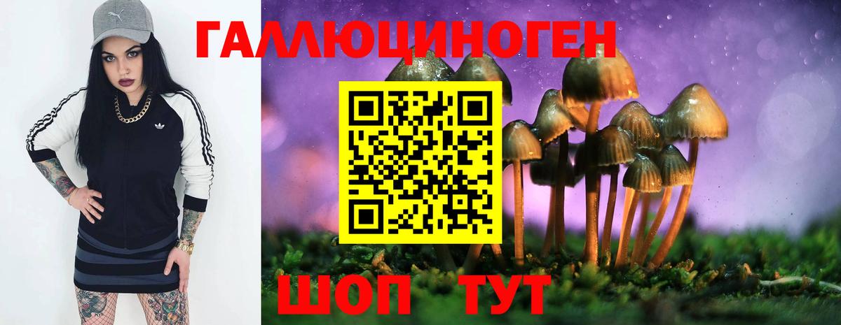 Гашиш Сокол