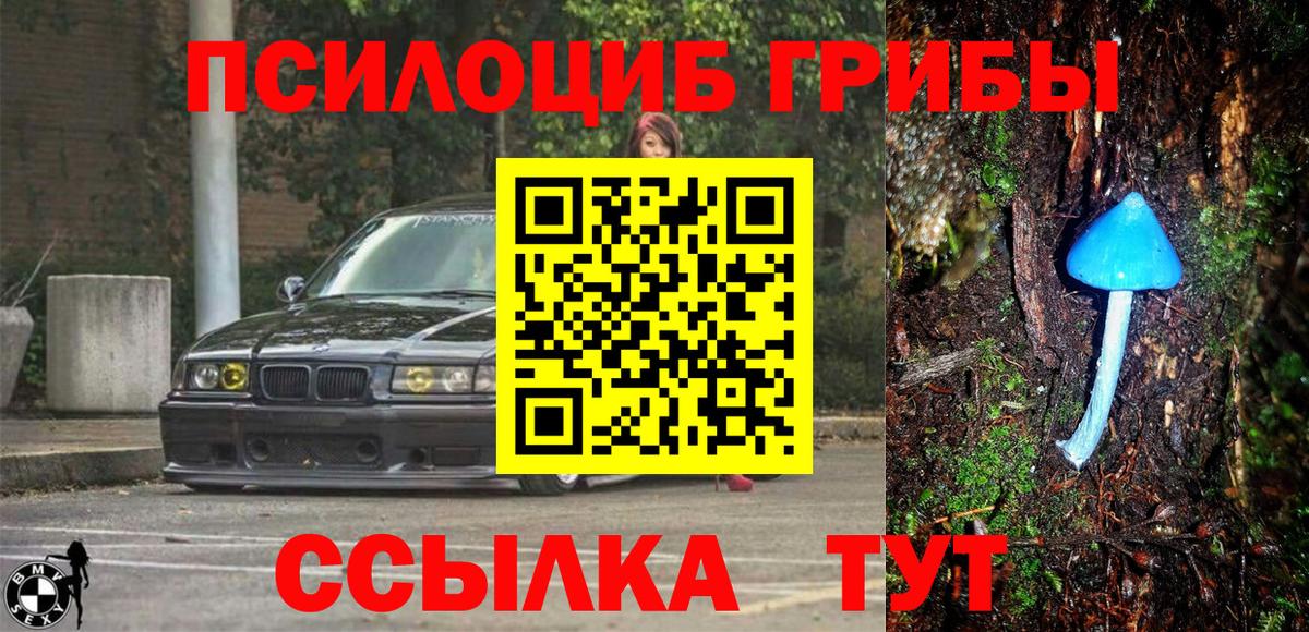 Галлюциногенные грибы Psilocybine cubensis Сокол